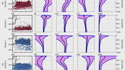 On the Vertical Structure of Mesoscale Eddies in the Kuroshio-Oyashio Extension featured image